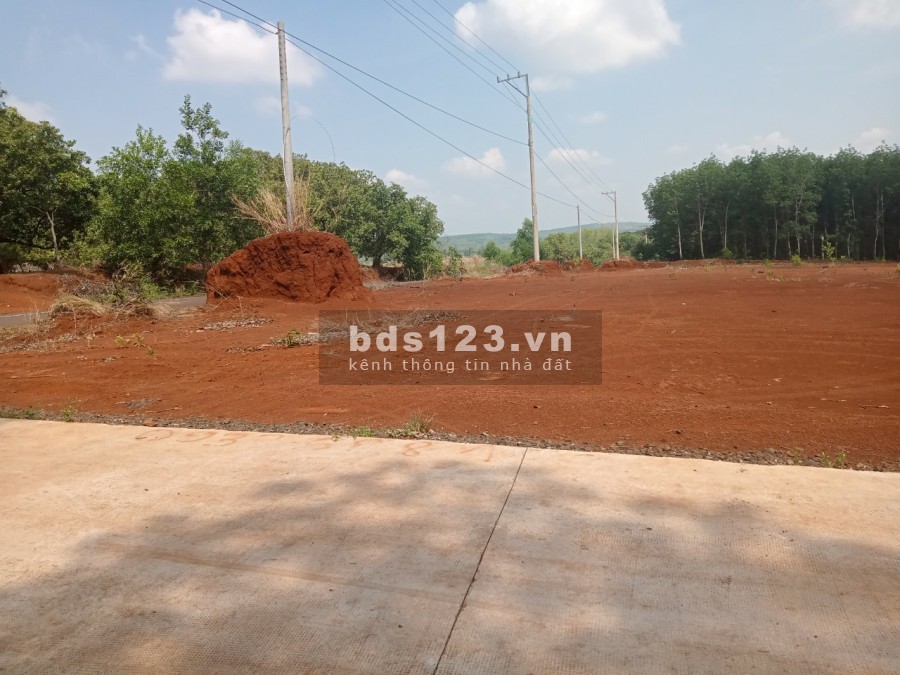 Kẹt tiền bán gấp miếng đất giá 980 triệu, pháp lý đầy đủ, bàn giao ngay.