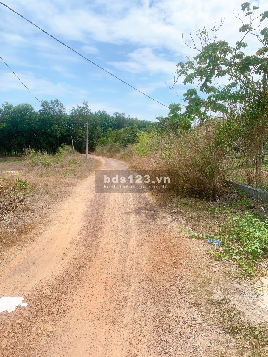 Cần bán 2 mẫu Vườn trái cây Siêu Đẹp giá bán thương lượng tiện ích đầy đủ, giá tốt