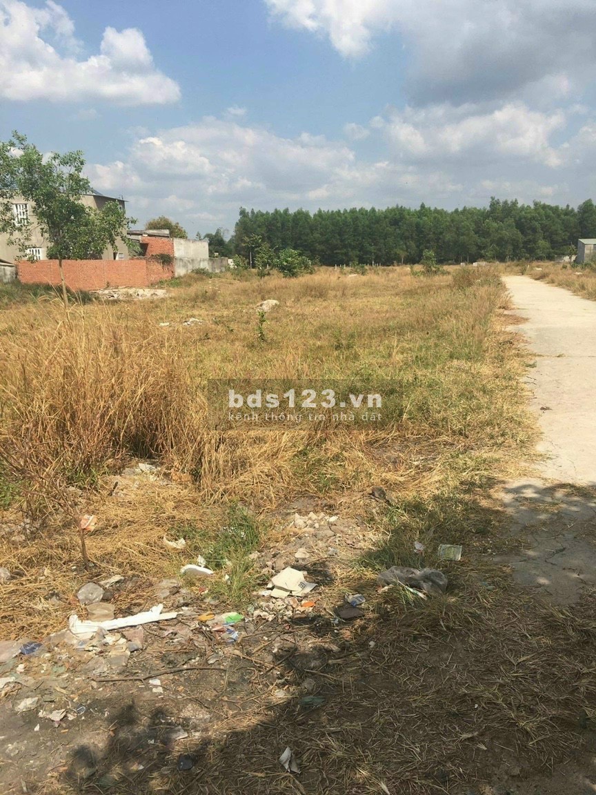 Chính chủ bán đất giá đầu tư sinh lời tại khu phố Thị Vải, phường Mỹ Xuân, khu dân cư đông