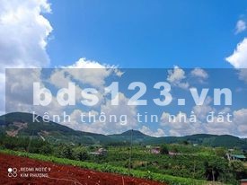Bán gấp lô đất tháng 3, diện tích sử dụng 551m ,thuộc xã Gia Lâm Lâm Đồng, SH, 1.62 tỷ