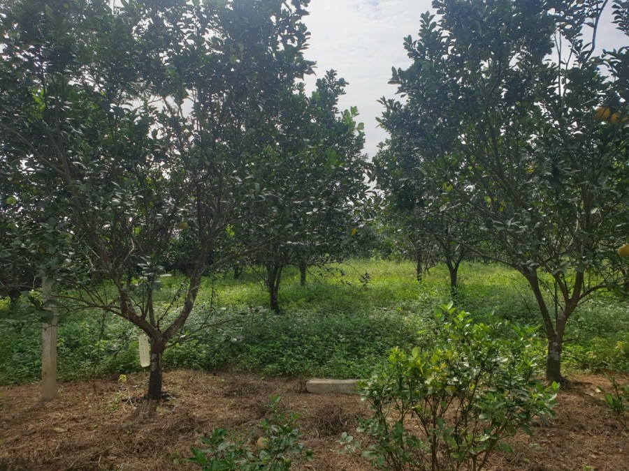Cần bán lô đất hơn 3300m2 tại Thịnh Đức, TP Thái Nguyên giá đầu tư sinh lời, tiện ích đủ