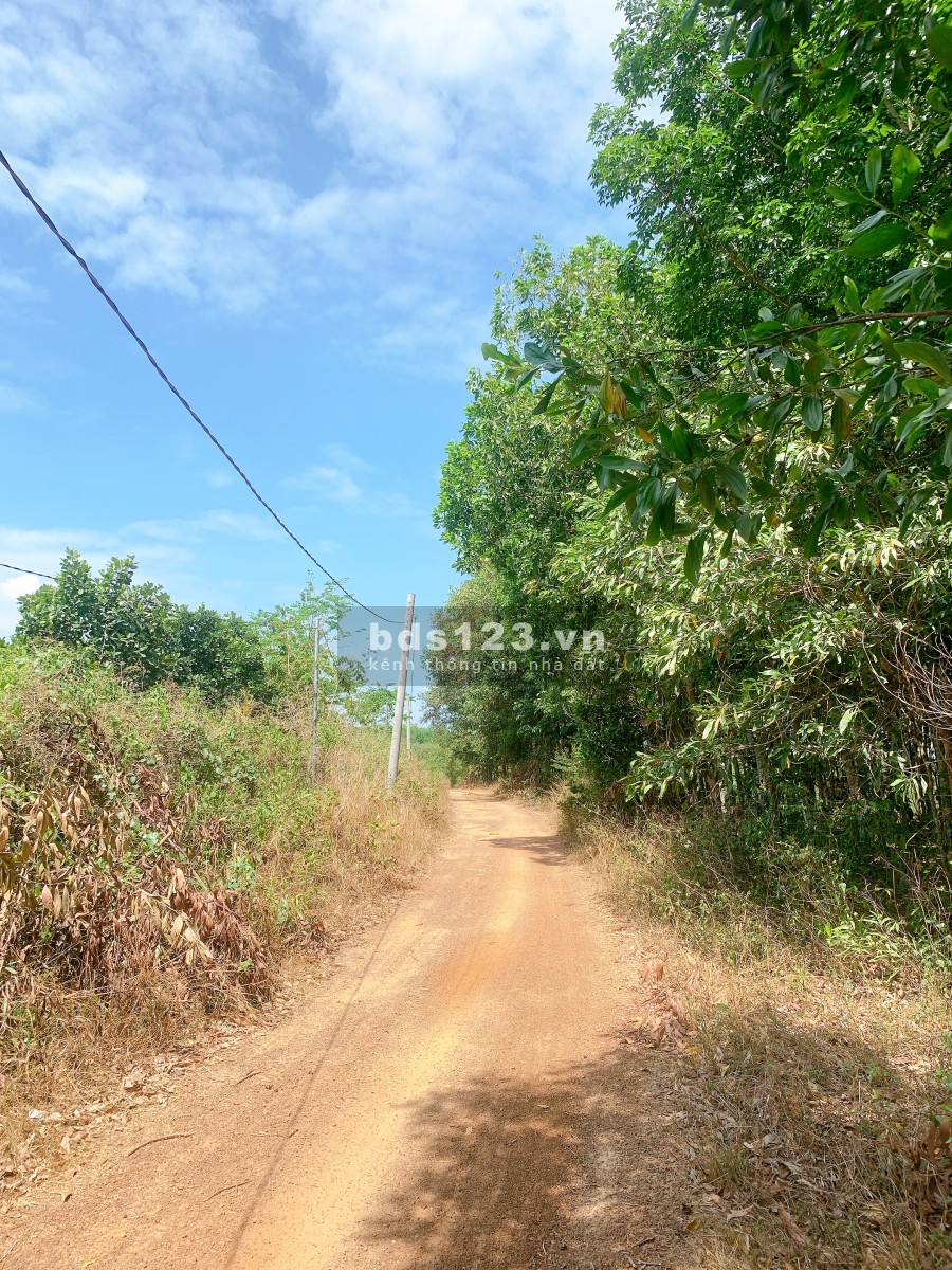 Cần bán 2 mẫu Vườn trái cây Siêu Đẹp giá bán thương lượng tiện ích đầy đủ, giá tốt