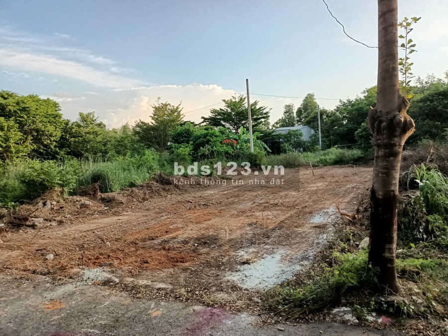 Chuyển nhà tôi chính chủ cần bán gấp căn trọ và lô đất 300m ngay chợ kinh doanh buôn bán