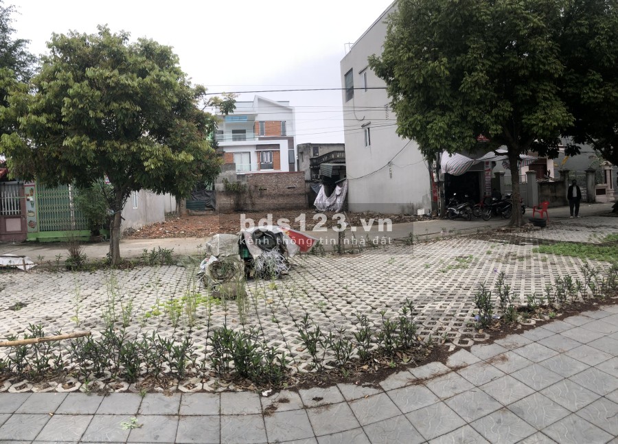 Cần tiền trả nợ gia đình cần bán gấp mảnh đất đẹp nhất tại Cổ Dương Đông Anh 0936088555