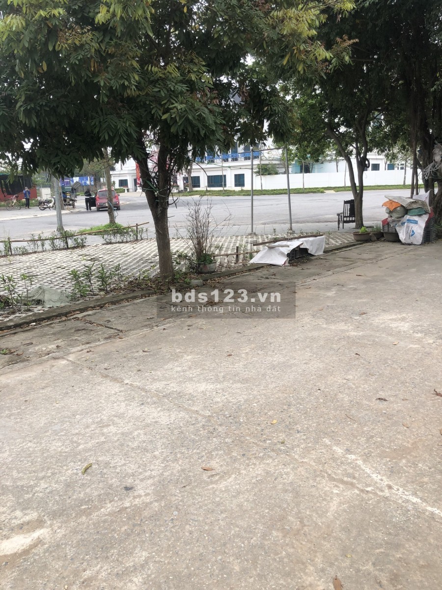 Cần tiền trả nợ gia đình cần bán gấp mảnh đất đẹp nhất tại Cổ Dương Đông Anh 0936088555