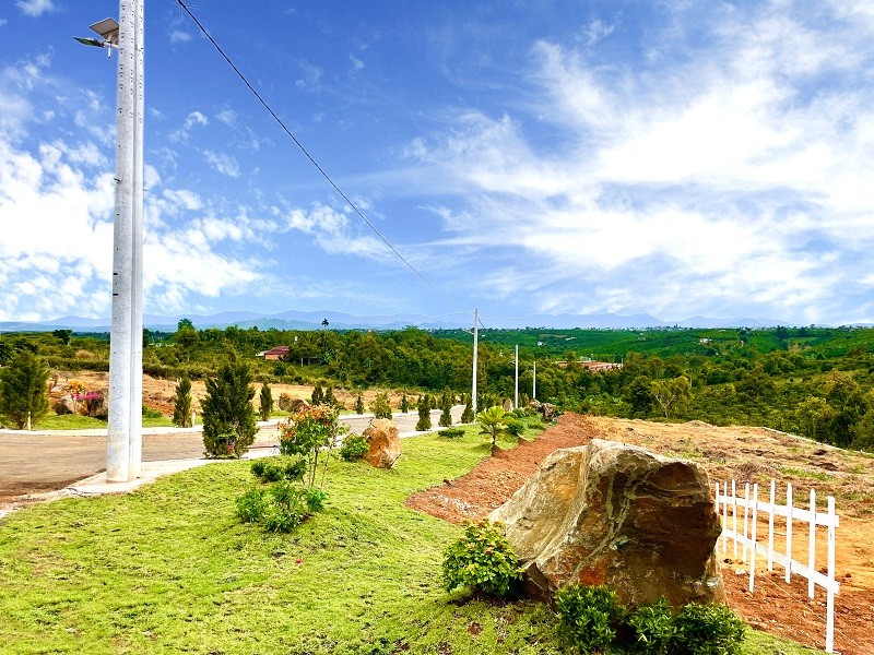 Bán đất chính chủ diện tích sử dungj 525m2, có sẵn Hồng và vườn rau tại đất, giá tốt, sổ riêng