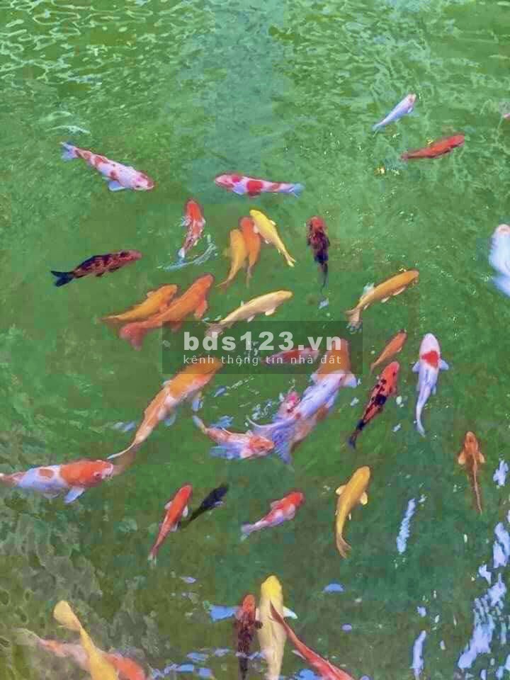 Bán căn hộ khu Vinhomes Grand Park Quận 9, thành phố hiện đại mới, bà giao ngay, giá tốt