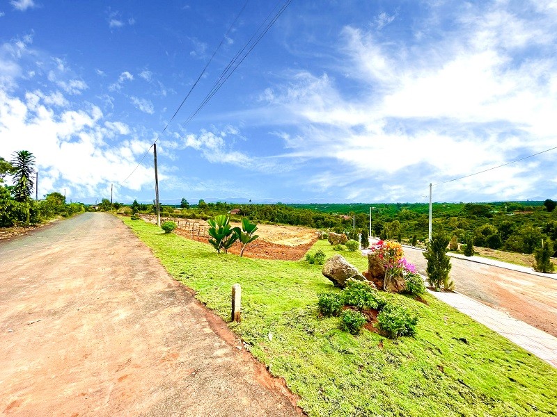 Bán đất chính chủ diện tích sử dungj 525m2, có sẵn Hồng và vườn rau tại đất, giá tốt, sổ riêng