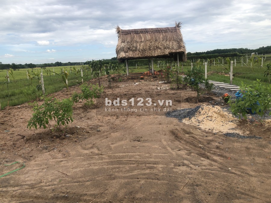 Đất vườn TPHCM hơn 500m2 có sổ hồng riêng, đường lớn xe vào tận nhà, vị tí đẹp