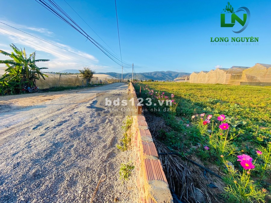 Chính chủ cần bán lô đát thị trân Thạnh Mỹ Đơn Dương, pháp lý đầy đủ, bàn giao ngay