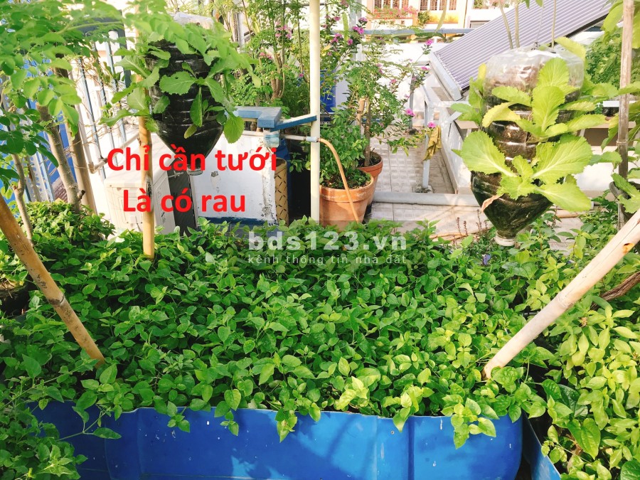 Bán nhà nở hậu, gần chợ Gò Vấp 2 căn ở và cho thuê diện tích sử dụng 65m2 an ninh yên tĩnh