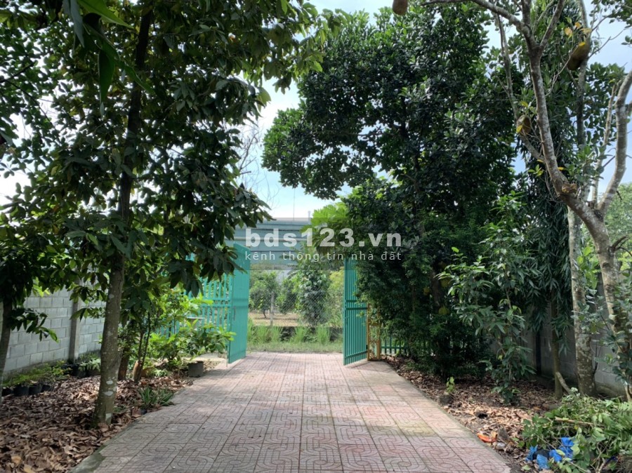 Chính chủ cần bán nhà cấp 4 xã Phú Hoà Đông, Củ Chi, Dtsd 346.7m2, giá bán 3 tỷ