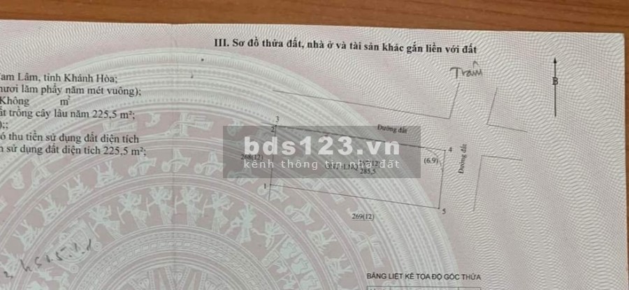 Bàn cờ Cam An Nam, diện tích sử dụng 290m2, cách LĐSM 50m, giá bán chỉ 4.5 tỷ
