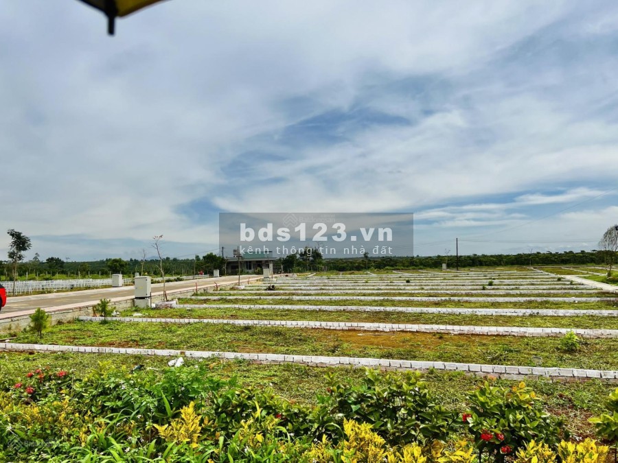 Bán đất nền mặt tiền gần trung tâm Bảo Lộc. Sở hữu chỉ với 300tr, đã có sổ, công chứng ngay