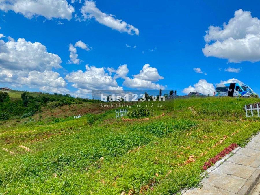Đất nền Bảo Lộc- sổ hồng pháp lý rõ ràng giá bán chỉ 490 triệu/nền thanh toán linh hoạt