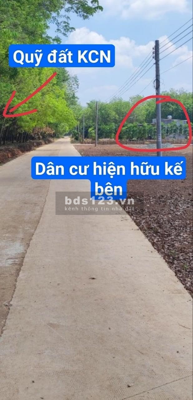 Bán đất có sổ sẵn Tân Quan Hớn Quản Bình PHước Gía Rẻ chiết xuất cao Hỗ trợ ngân hàng đến 60%