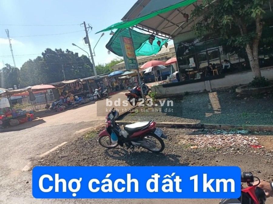 Bán đất có sổ sẵn Tân Quan Hớn Quản Bình PHước Gía Rẻ chiết xuất cao Hỗ trợ ngân hàng đến 60%