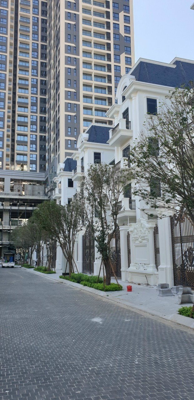 Biệt Thự The Zei Mỹ Đình đẳng cấp hiếm có tại khu vực trung tâm-Giá đầu tư-Nhận ngay sổ hồng