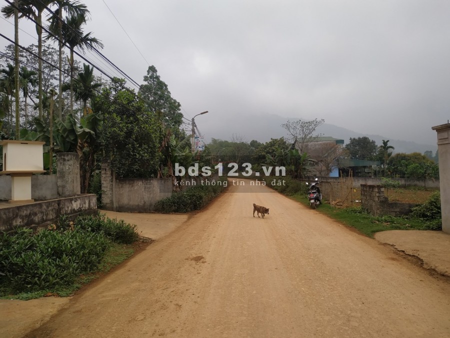Đất nghỉ dưỡng chính chủ gửi bán Minh Quang Ba Vì Hà Nội, giá đầu tư, Lợi nhuận 30-50% năm.