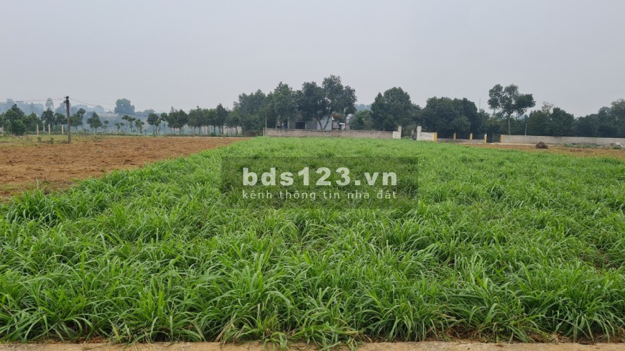 Đất nghỉ dưỡng chính chủ gửi bán Minh Quang Ba Vì Hà Nội, giá đầu tư, Lợi nhuận 30-50% năm.