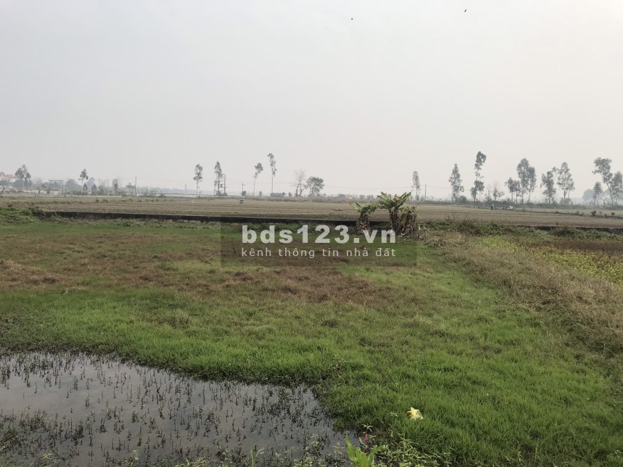 Bán đất thổ cư tại xã Khánh Mậu, huyện Yên Khánh liên hệ 0988051315, pháp lý chính chủ