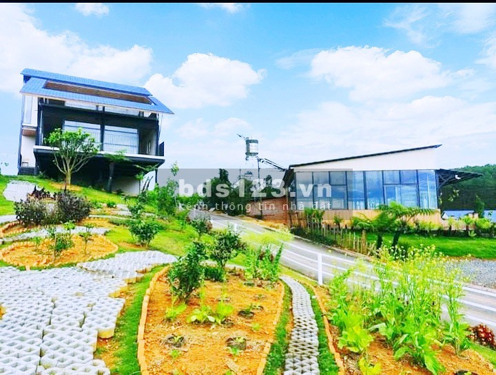 Ra đi nhanh lô đất biệt thự nghĩ dưỡng view đồi thong, giá tốt đầu tư sinh lời cao, pháp lý chuẩn