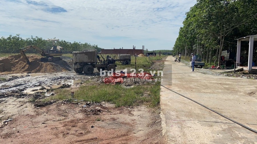 Chủ đất cần ra nhanh 2 lô liền kề giá fo chỉ 850 triệu thổ cư 100%, vị trí đắc địa, giá tốt