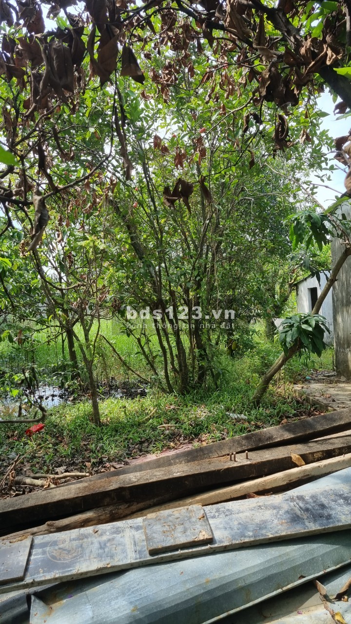 Bán đất đường xe tải thông 10m Xuân Thới Sơn 12 Hóc Môn giá bán 8.4 tỷ, sổ sẵn
