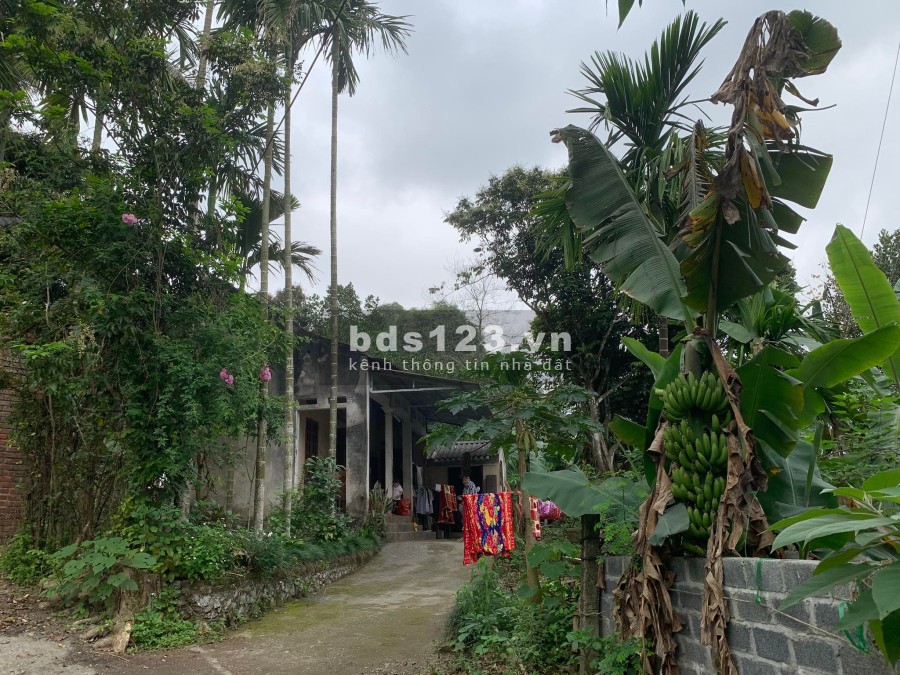 Đỉnh cao của đất thổ cư tại Lương Sơn - Hòa Bình diện tích 1488m2 giá bán 2.6 tỷ