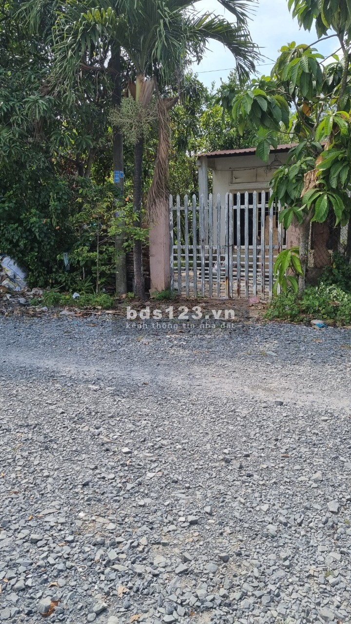Bán đất đường xe tải thông 10m Xuân Thới Sơn 12 Hóc Môn giá bán 8.4 tỷ, sổ sẵn