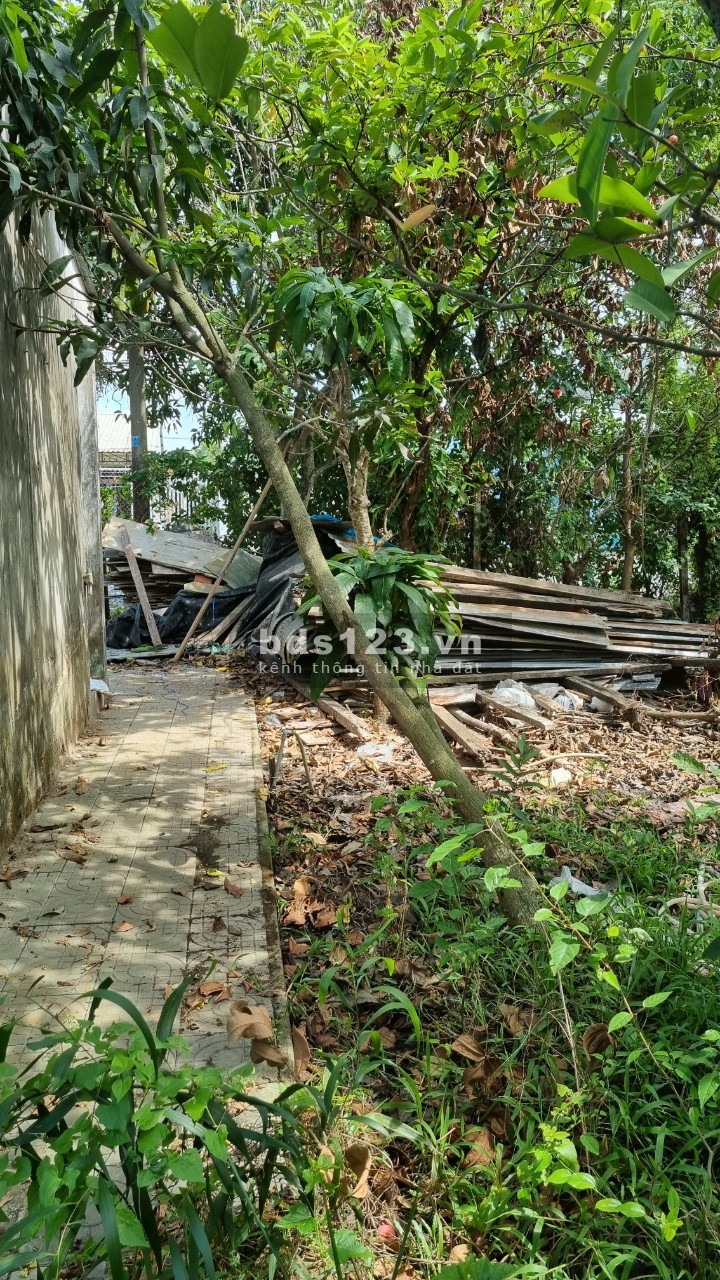 Bán đất đường xe tải thông 10m Xuân Thới Sơn 12 Hóc Môn giá bán 8.4 tỷ, sổ sẵn
