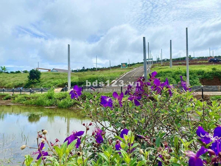 Đất nền dự án tiềm năng Happy Garden - sổ hồng pháp lý rõ ràng- 100% thổ cư- giá chỉ 490tr/nền