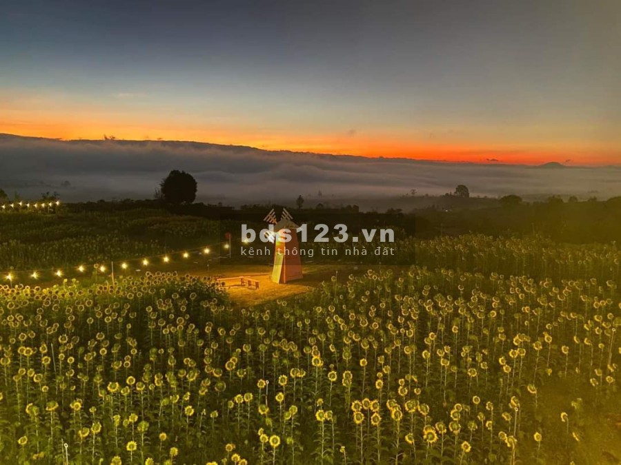 500m2 đất nghỉ dưỡng, view săn mây tại Tân Văn có 400m thổ cư, sổ riêng giá chỉ 1ty250 ️