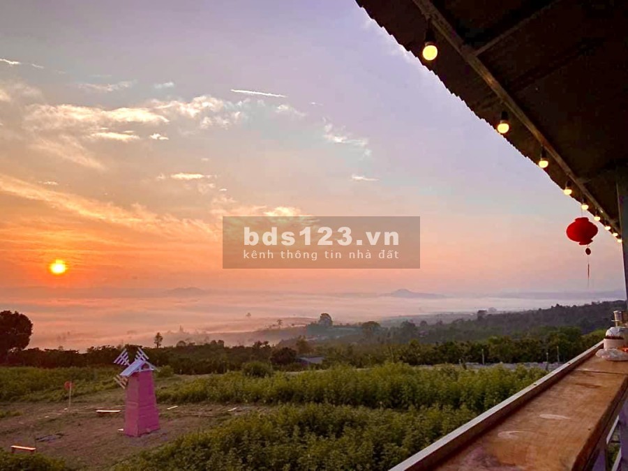 500m2 đất nghỉ dưỡng, view săn mây tại Tân Văn có 400m thổ cư, sổ riêng giá chỉ 1ty250 ️