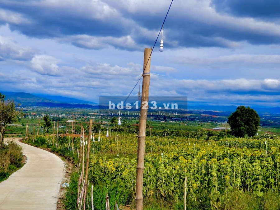 500m2 đất nghỉ dưỡng, view săn mây tại Tân Văn có 400m thổ cư, sổ riêng giá chỉ 1ty250 ️