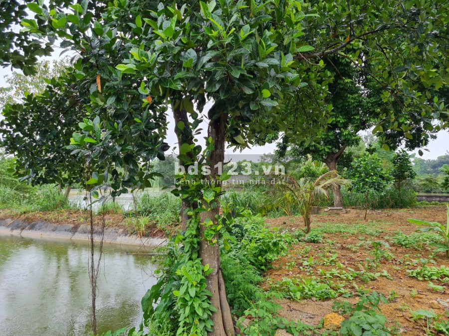 Đất Trần Phú: cam kết bước chân vào là thích giá bán 5 tỷ, liên hệ 0349410627, sổ sẵn