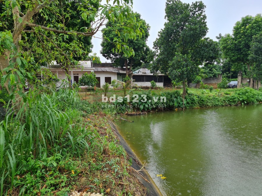 Đất Trần Phú: cam kết bước chân vào là thích giá bán 5 tỷ, liên hệ 0349410627, sổ sẵn