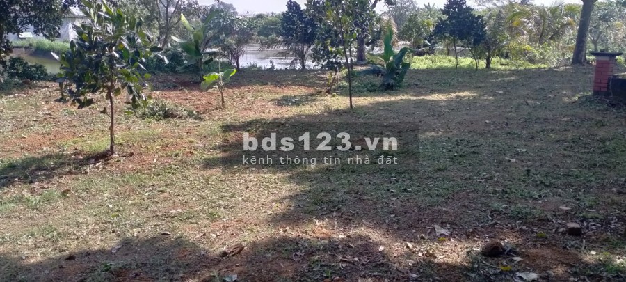 Đất Trần Phú: cam kết bước chân vào là thích giá bán 5 tỷ, liên hệ 0349410627, sổ sẵn