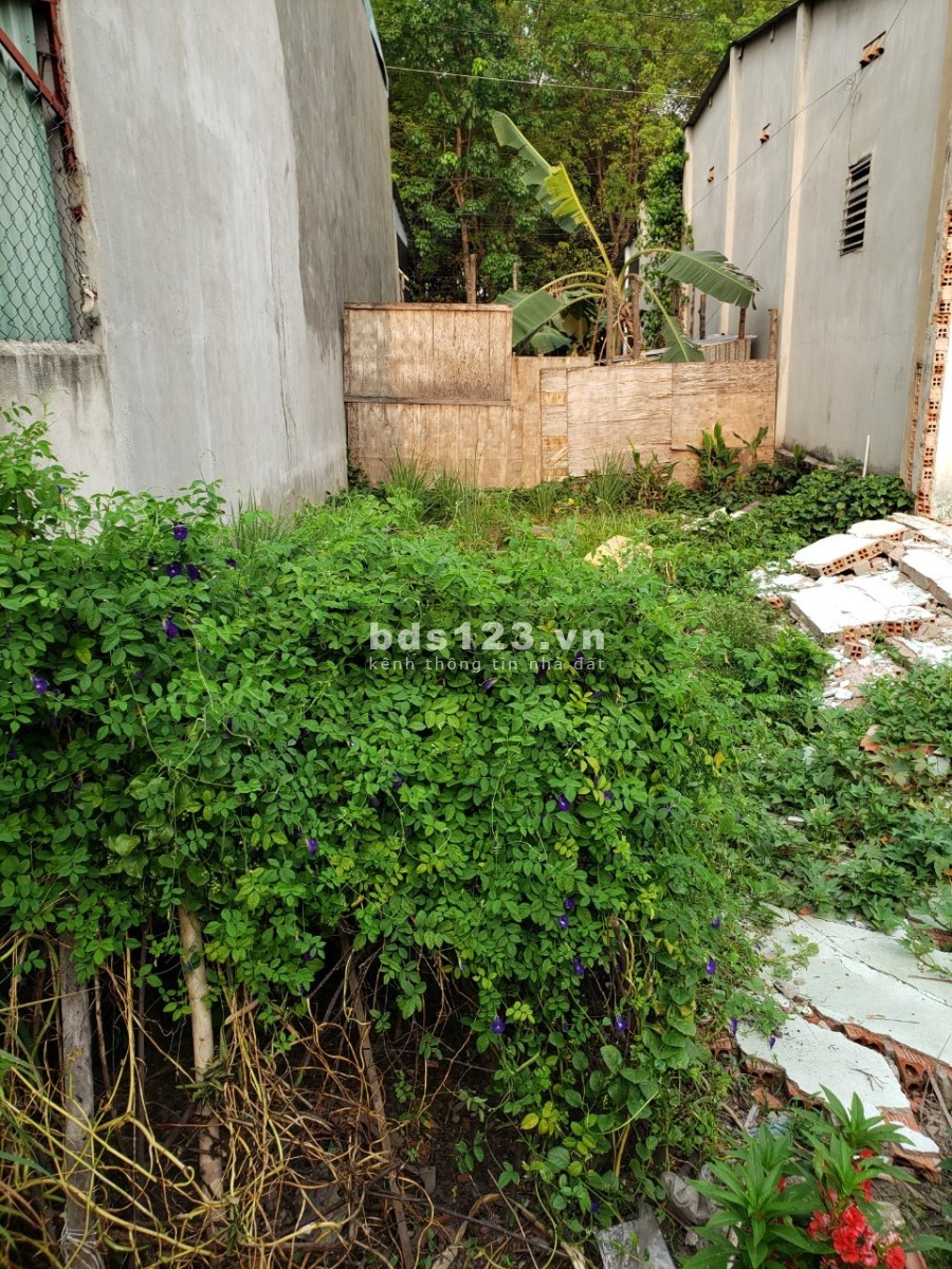 Chính chủ cần bán nhà lô đất lớn khu dân cư hiện hữu, đường nhựa 13m giá tốt đầu tư