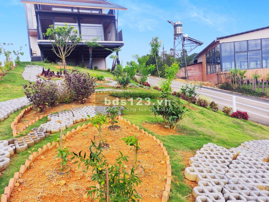 Biệt thự nghĩ dưỡng rừng thông Bảo Lộc, giá bán đầu tư sinh lời, pháp lý rõ ràng
