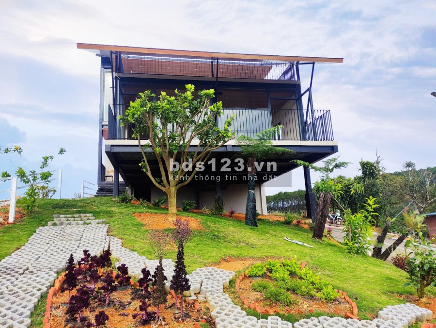 Biệt thự nghĩ dưỡng rừng thông Bảo Lộc, giá bán đầu tư sinh lời, pháp lý rõ ràng