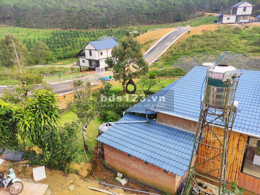 Biệt thự nghĩ dưỡng rừng thông Bảo Lộc, giá bán đầu tư sinh lời, pháp lý rõ ràng