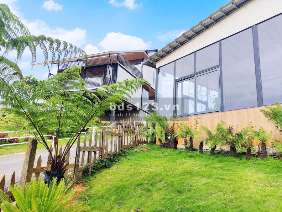 Biệt thự nghĩ dưỡng rừng thông Bảo Lộc, giá bán đầu tư sinh lời, pháp lý rõ ràng