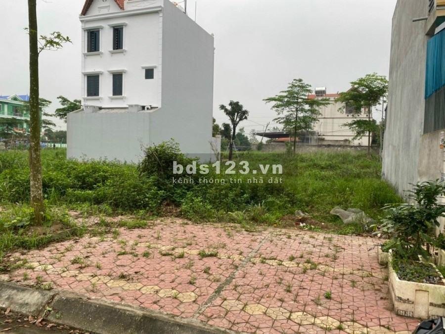 Chỉ cần 1.4x tỉ mặt tiền 7m view hàng cây mát mẻ sổ đang ra, liên hệ 0799863888, pháp lý đủ