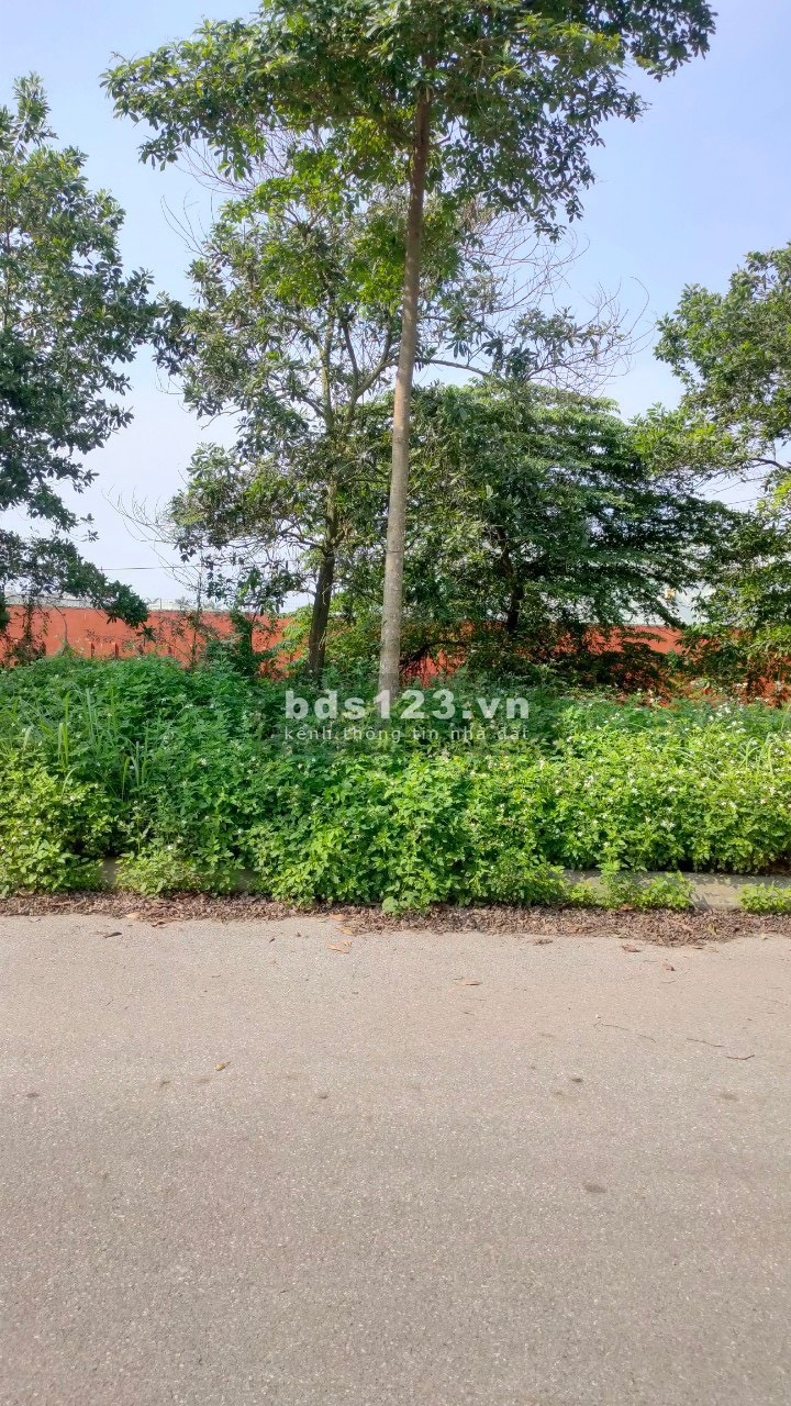 Chỉ cần 1.4x tỉ mặt tiền 7m view hàng cây mát mẻ sổ đang ra, liên hệ 0799863888, pháp lý đủ