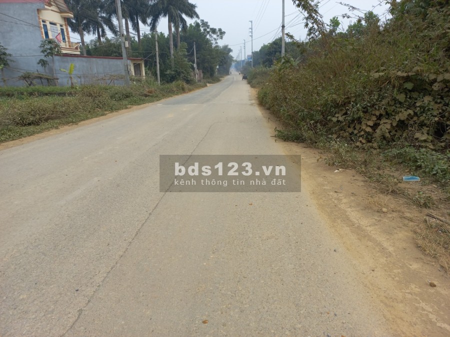 Bán nhanh 1000m2 trục đường chính Bãi Dài Tiến Xuân Thạch Thất cách đại lộ Thăng Long kéo dài 200m