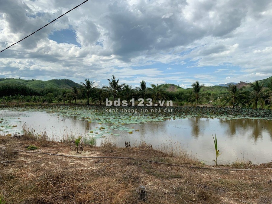 Bán đất nền Diên Tân chính chủ, vị trí đẹp gần chợ, gần Ủy Ban Xã Diên Tân giá tốt