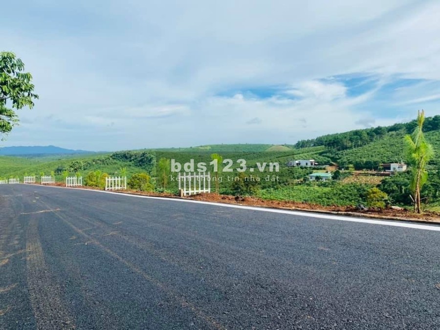 Đất nghỉ dưỡng tại Bảo Lộc đáng để sống sổ chính chủ, vỉa hè lớn, xe ra vào thoải mái