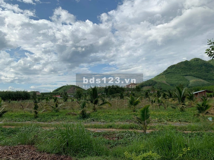 Bán đất nền Diên Tân chính chủ, vị trí đẹp gần chợ, gần Ủy Ban Xã Diên Tân giá tốt