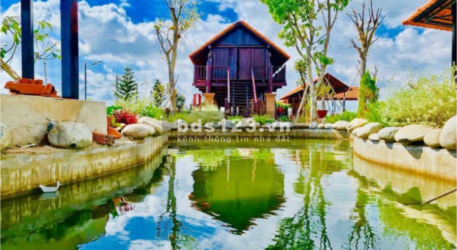 Mở bán dự án Long Cang New mặt tiền đường đại lộ Nguyễn Trung Trực